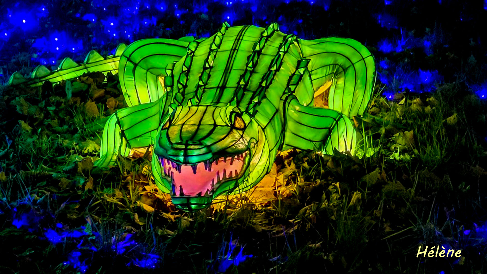 THOIRY -Illumination ,  Lumières sauvages 2025-2026